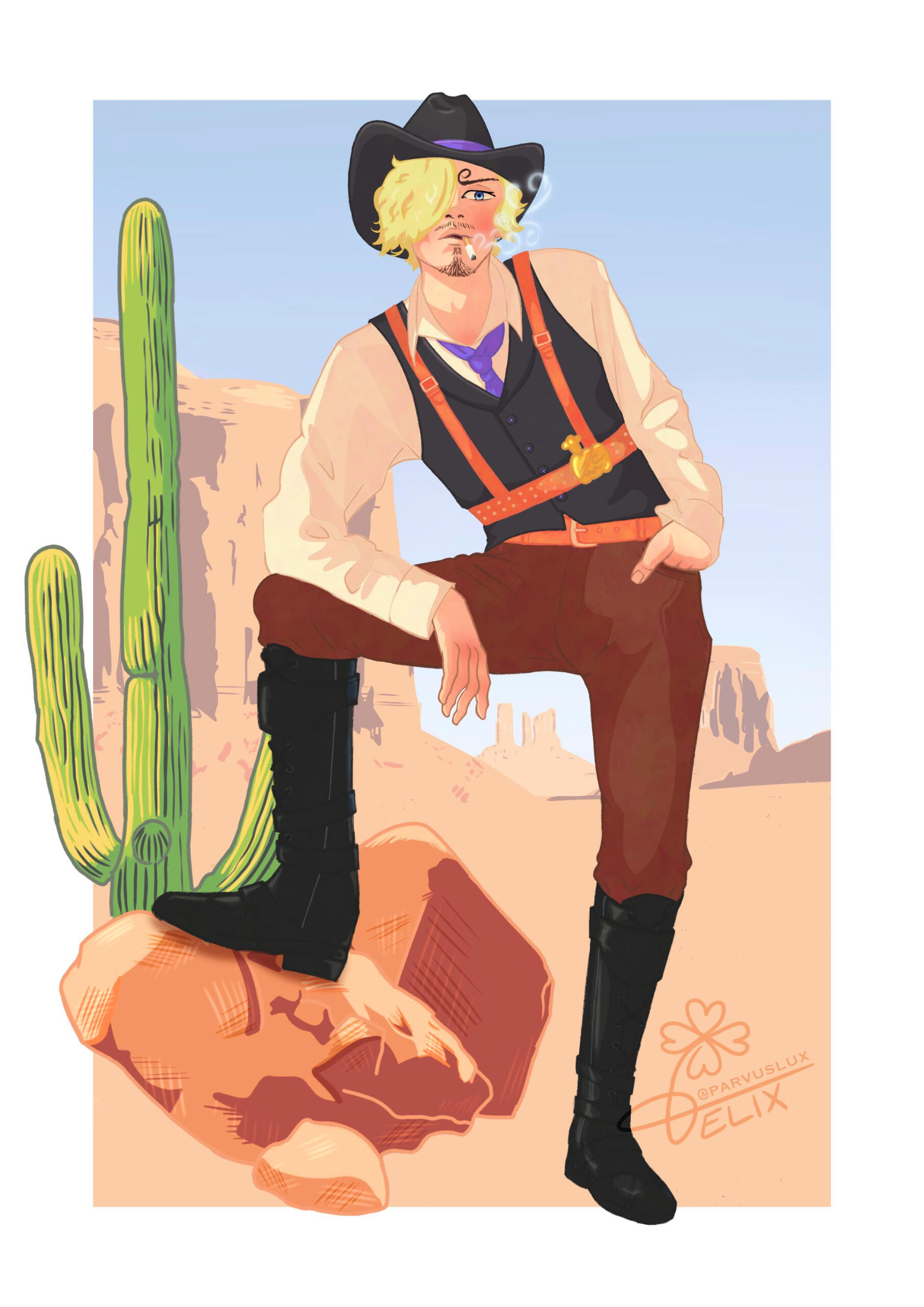 Cowboy Sanji Cowboy Sanji